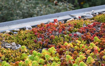 the cost of East Lothian green roof installation