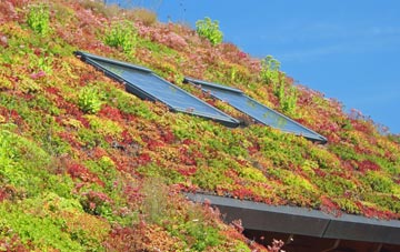East Lothian living roof systems